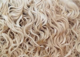 Bulk Hair (5)