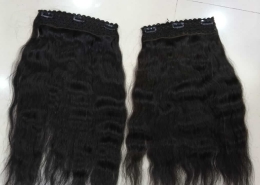 Clip On Hair Extension 1