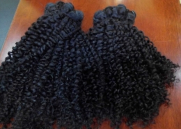 Deep Curly Hair (1)