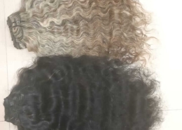 Natural curly hair (2)