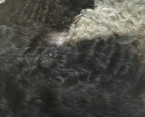 Remy hair (2)